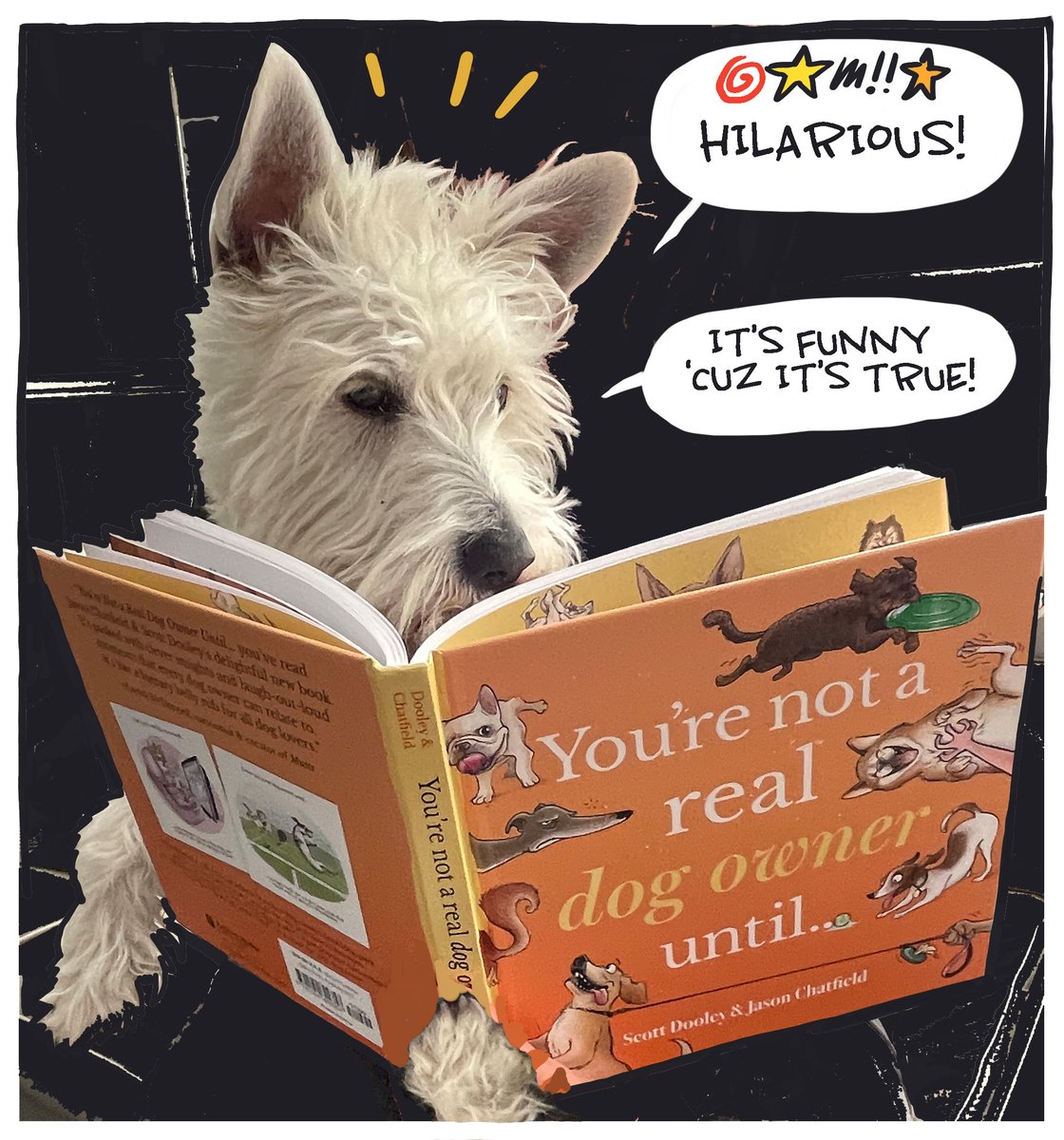 My friend Jason Chatfield has a great new book out, YOU'RE NOT A REAL DOG OWNER UNTIL..! My dog Reuben loves it. You could say this book won (over) a Reuben. This book is a MUST for dog lovers! You can order it here: amazon.com/Youre-Not-Real…
