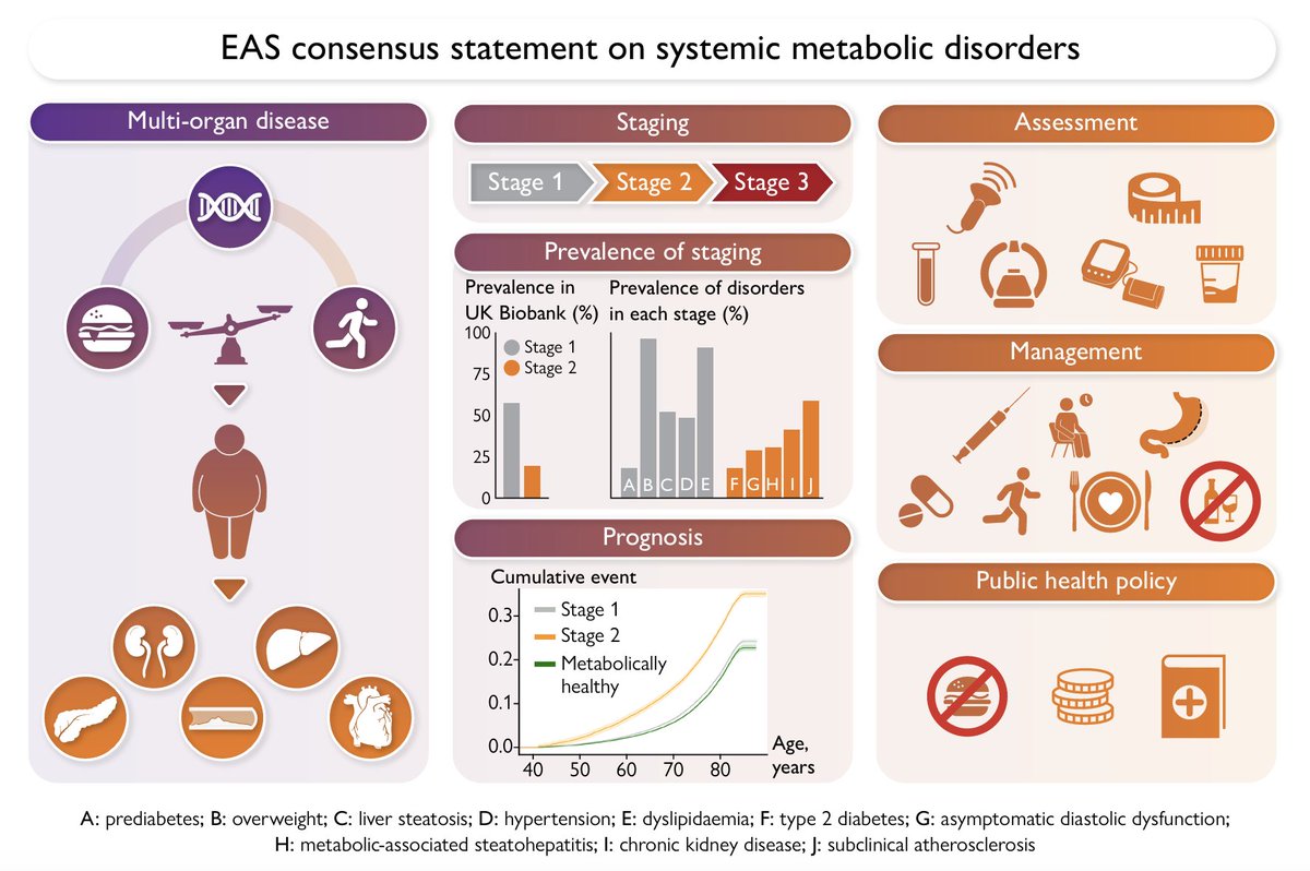 Gonzalo Perez (@gonzaeperez) on Twitter photo ESTADIFICACIÓN CLÍNICA PARA EL MANEJO DE LOS TRASTORNOS METABÓLICOS Y SUS DESORDENES
Documento <a href="/society_eas/">European Atherosclerosis Society</a>
3 Estadíos de desórdenes metabólicos sistémicos
1- Anormalidades metabólicas sin daño de órgano
2- Daño de órgano incipiente (DBT, disf diastólica, MASH, IRC)
3- Daño ESTADIFICACIÓN CLÍNICA PARA EL MANEJO DE LOS TRASTORNOS METABÓLICOS Y SUS DESORDENES
Documento <a href="/society_eas/">European Atherosclerosis Society</a>
3 Estadíos de desórdenes metabólicos sistémicos
1- Anormalidades metabólicas sin daño de órgano
2- Daño de órgano incipiente (DBT, disf diastólica, MASH, IRC)
3- Daño