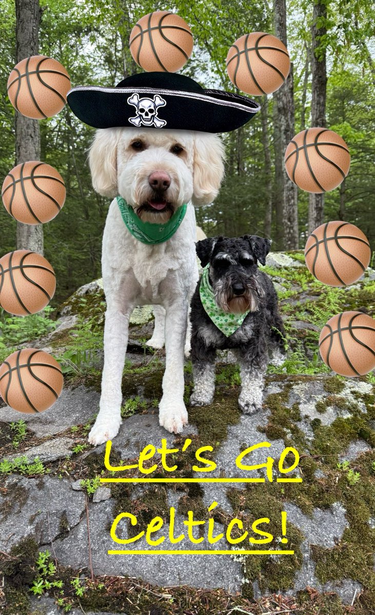 Woof! Woof!