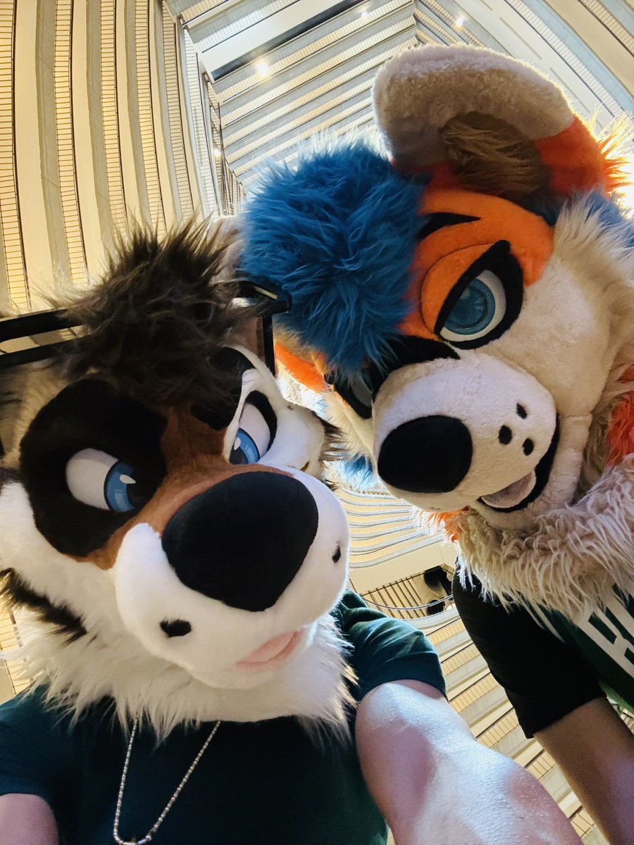Cartooncoon/Cody (@cartooncoon) on Twitter photo POV u blacked out on the con floor and two gay dogs check on u ๐
๐ถ: <a href="/SwixHuski/">Swix! ๐ Megaplex</a> POV u blacked out on the con floor and two gay dogs check on u ๐
๐ถ: <a href="/SwixHuski/">Swix! ๐ Megaplex</a>