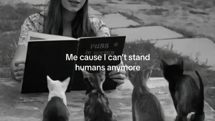 milkstrology's tweet image. moodboard for today's moon in virgo squaring jupiter and opposing venus/saturn (5/7/25)