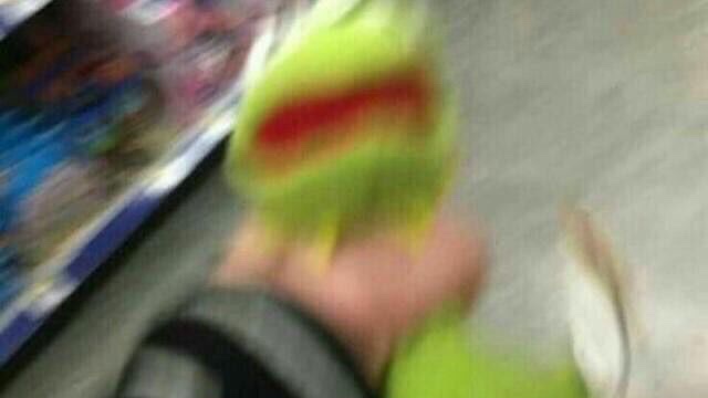 milkstrology's tweet image. moodboard for today's moon in virgo squaring jupiter and opposing venus/saturn (5/7/25)