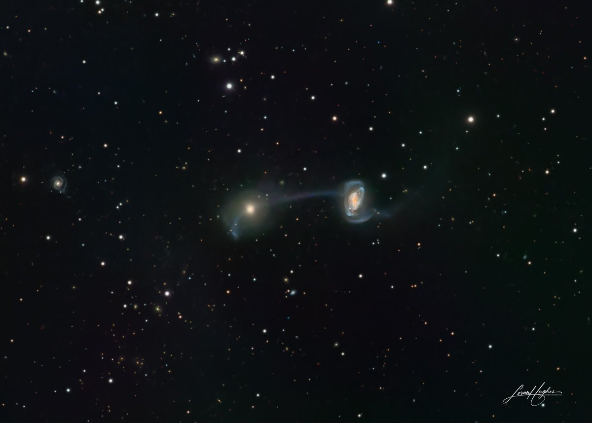 Keenan's system (Arp 104), 2 interacting galaxies in Ursa Major. I had to dodge clouds for 3 nights, but ended up with 15.5 hrs of integration. Image details on my Astrobin page at app.astrobin.com/i/3hnqng. #astrophotography #astronomy