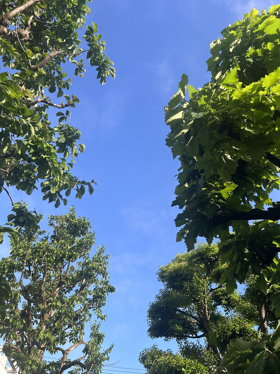 Өглөөний мэнд