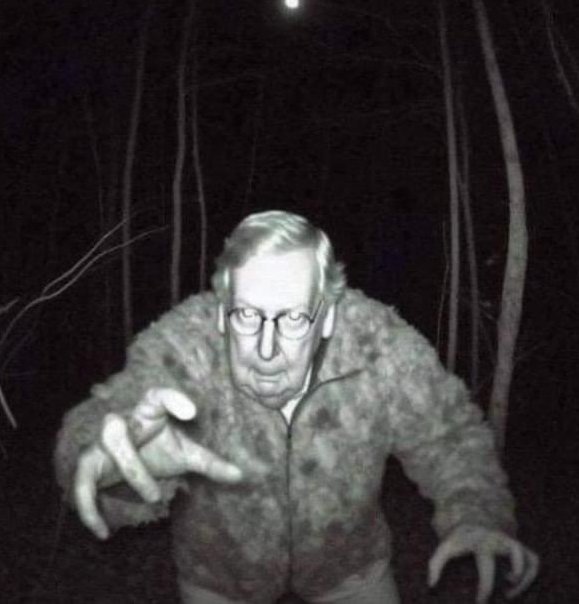Has anyone seen Mitch lately?  Is he even alive or just Walking Dead? 🤷