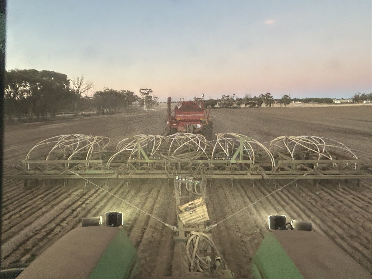 First ever Lenthils in the ground