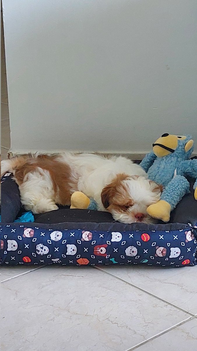 is2bit's tweet image. 