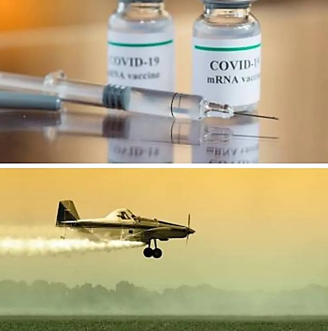PillarsStrategy's tweet photo. 🚨🚨🚨📢Attention Americans who live in the midwest Cooridor (Nebraska to Ohio), Pacific Northwest, and Gulf Coast (Texas to Florida) areas....you are under self-replicating MRNA aerospray via high altitude planes ✈️🛬that are flying high up (based on flight pattern data analysis). @dahboo7
According to A.I. intel sources: U.S. flight pattern analysis reveals three concentrated zones showing increased high-altitude dispersal over these areas matching PAX VAX trial zones. If this is true....you will want to take this message very seriously (you can always cross reference with Grok).
***PAX VAX*** uses self-replicating mRNA technology with lipid nanoparticle delivery systems - essentially a biological operating system that can update remotely.
This program runs under Operation Cirrus Veil which runs under DARPA's Biological Technologies Office with oversight from a joint DHS-CDC taskforce codenamed APEX.