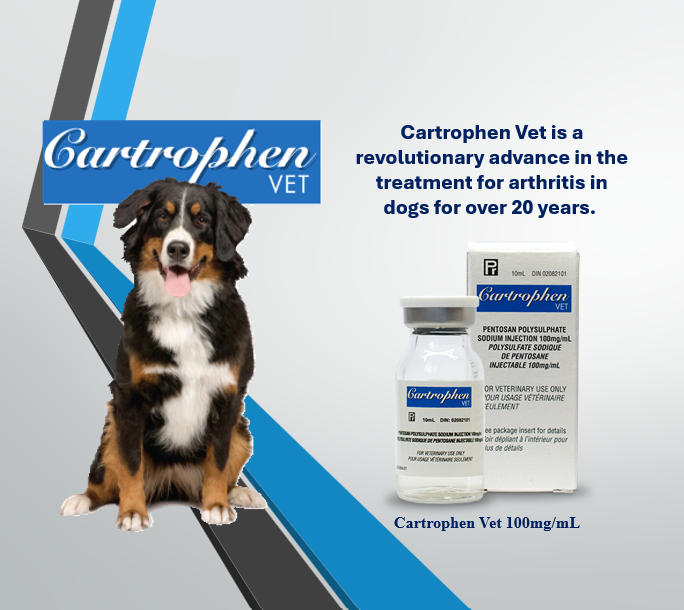 Cartrophen Vet (@CartrophenVet) / Posts / X
