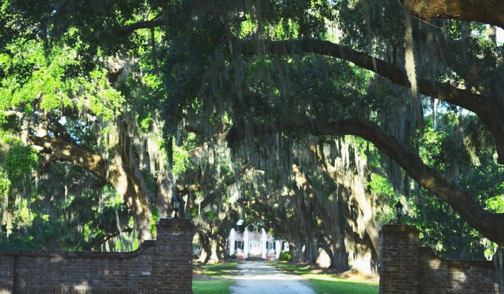 Caretaker couple needed on historic South Carolina plantation. Competitive salary, benefits, housing. Details about this new position were sent out to our paid subscribers in our latest email update.  Any questions, please email caretakergazette@gmail.com