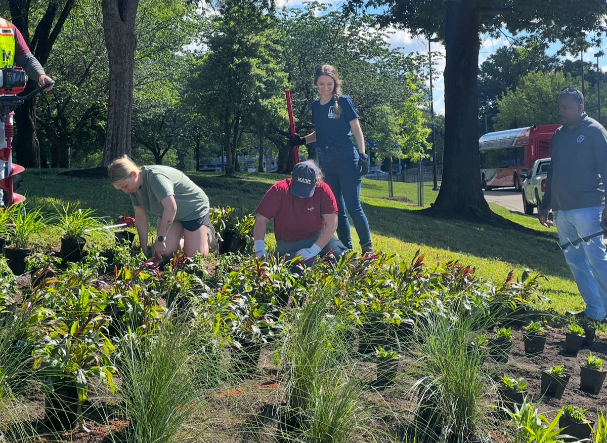 Today, we planted native flowers at West Hyattsville station with @uofmaryland students in a horticulture class. It was made possible by the university and Metro’s “Shark Tank” Lab to increase biodiversity, reduce erosion, and improve air quality, soil health, and more. 🌼🌱