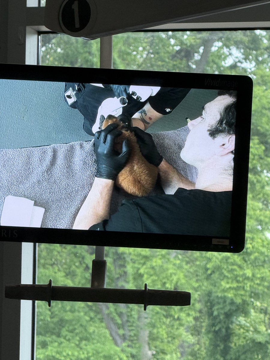 Today, Mrs. Lacy's Animal Science classes had the exciting opportunity to visit the Veterinary Hospital at the Nashville Zoo, where students gained firsthand insight into veterinary care and the roles of professionals who care for animals.