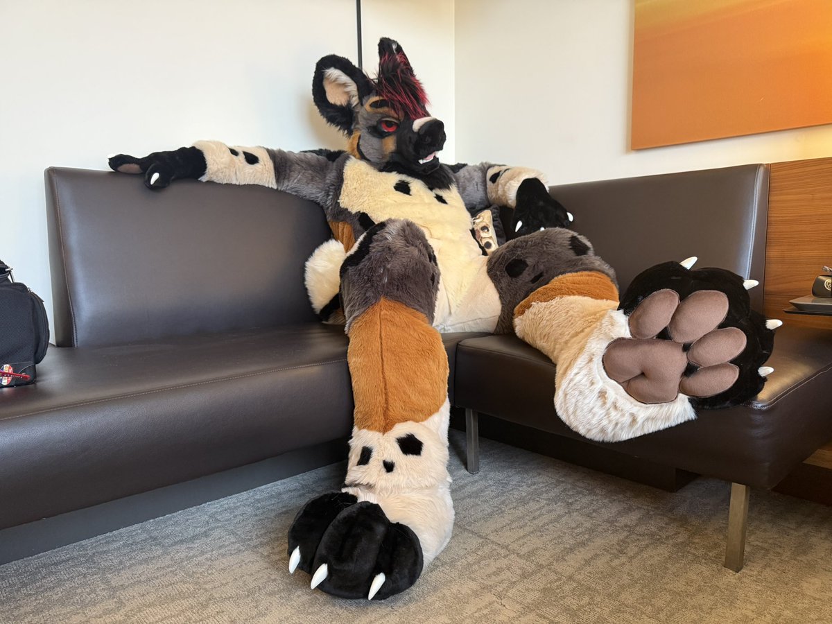 Settled in to FWA 😈