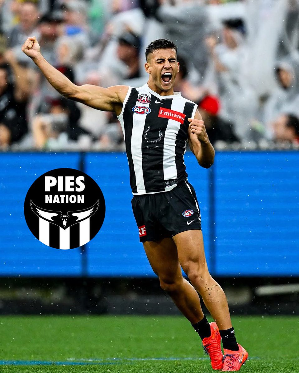 PiesNation tweet media