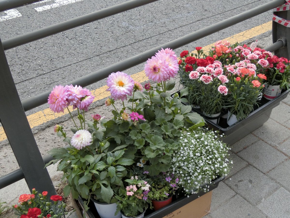 디카로 찍은 출근길🚗