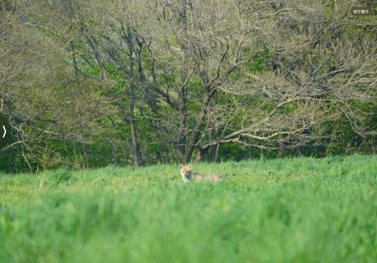 未知なる宮城｜KIMLOG｜ tweet media