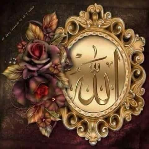 : اَلسَلامُ عَلَيْكُم وَرَحْمَةُ اَللهِ وَبَرَكاتُهُ
صبح بخیر زندگی 
اے همارے مہربان رب 
ہمارے خالی دامن کو اپنی رحمت سے بھر دے هر کام میں آسانیاں فرما تنگدستی. تنگ نظری اور شیطان کے شر سے محفوظ فرما اپنا ڈر اور در نصیب فرما.
 تمام بیماریوں کو شفائے کاملہ عاجلہ عطا فرما
 آمین