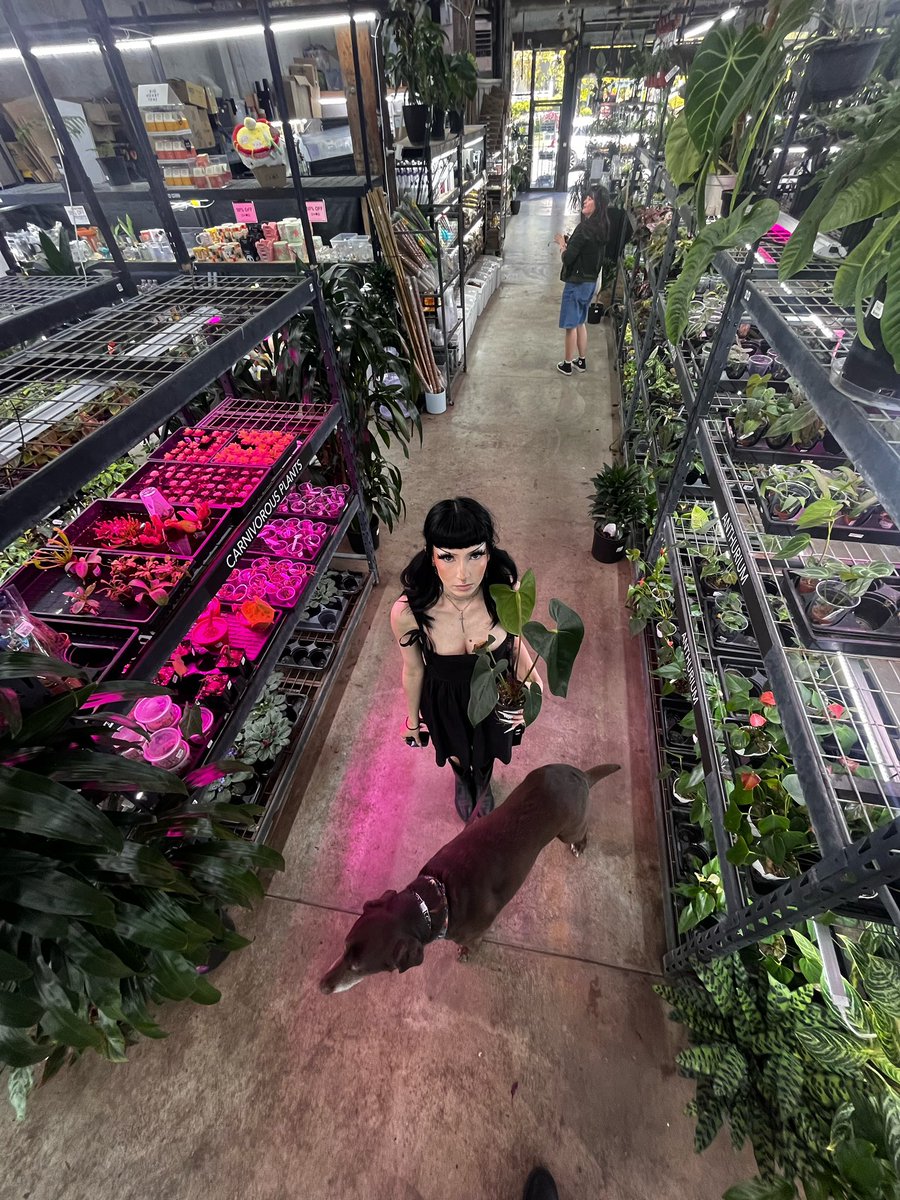 kittenfrompluto's tweet image. 🌱26🌱