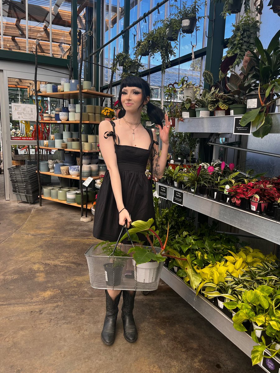 kittenfrompluto's tweet image. 🌱26🌱