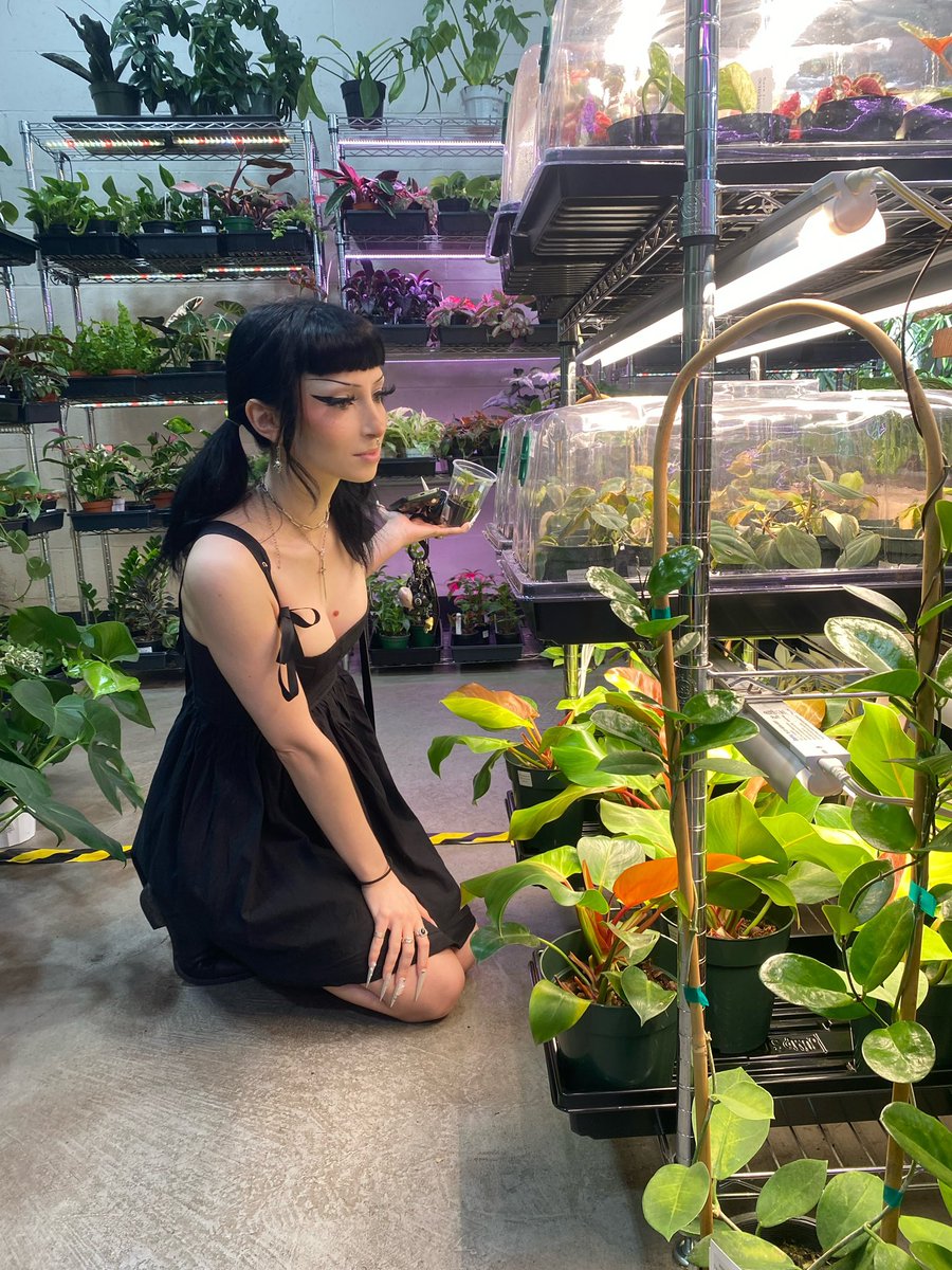 kittenfrompluto's tweet image. 🌱26🌱