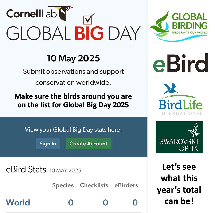 Global Birding (@global_birding) on Twitter photo ⏰ Global Big Day Saturday 10 May
🌏 Make sure the birds near you are counted
✅ Send your checklists to eBird
ebird.org/news/global-bi…
🕊️ You can also help <a href="/BirdLife_News/">BirdLife International</a> protect birds
birdlife.org/getcounting/
<a href="/_OSME/">OSME</a> <a href="/Africabirdclub/">African Bird Club</a> <a href="/orientbirdclub/">Oriental Bird Club</a> <a href="/AAO_Tunisie/">AAO_Tunisie</a> <a href="/SprepChannel/">SPREP</a> ⏰ Global Big Day Saturday 10 May
🌏 Make sure the birds near you are counted
✅ Send your checklists to eBird
ebird.org/news/global-bi…
🕊️ You can also help <a href="/BirdLife_News/">BirdLife International</a> protect birds
birdlife.org/getcounting/
<a href="/_OSME/">OSME</a> <a href="/Africabirdclub/">African Bird Club</a> <a href="/orientbirdclub/">Oriental Bird Club</a> <a href="/AAO_Tunisie/">AAO_Tunisie</a> <a href="/SprepChannel/">SPREP</a>