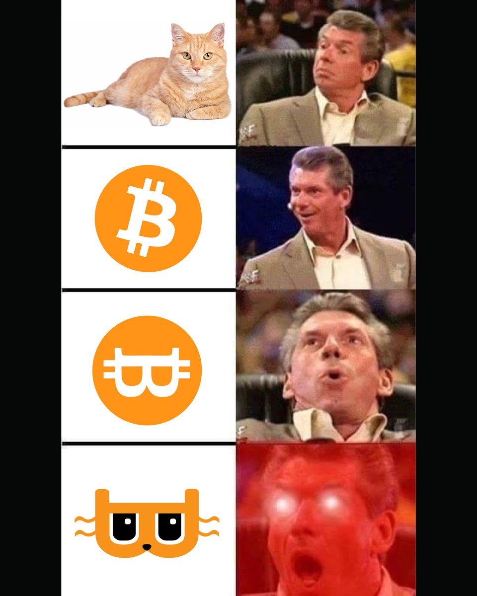 think i've settled on this one personally 🐱