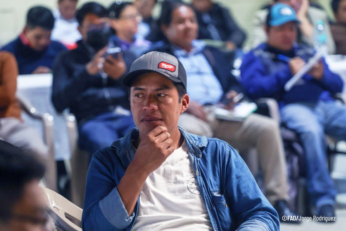 FAOGuatemala's tweet photo. 🔹Acción realizada en el marco del Programa Conjunto #FIDAM, que busca fortalecer la institucionalidad para mejorar el desarrollo rural integral del Altiplano Marquense.
🤝Un proyecto financiado por @SwedeninGT y apoyado por @FAO, @OPSGuate,@unicefguatemala y @PNUDGuatemala. https://t.co/9xoZ9MiYiO