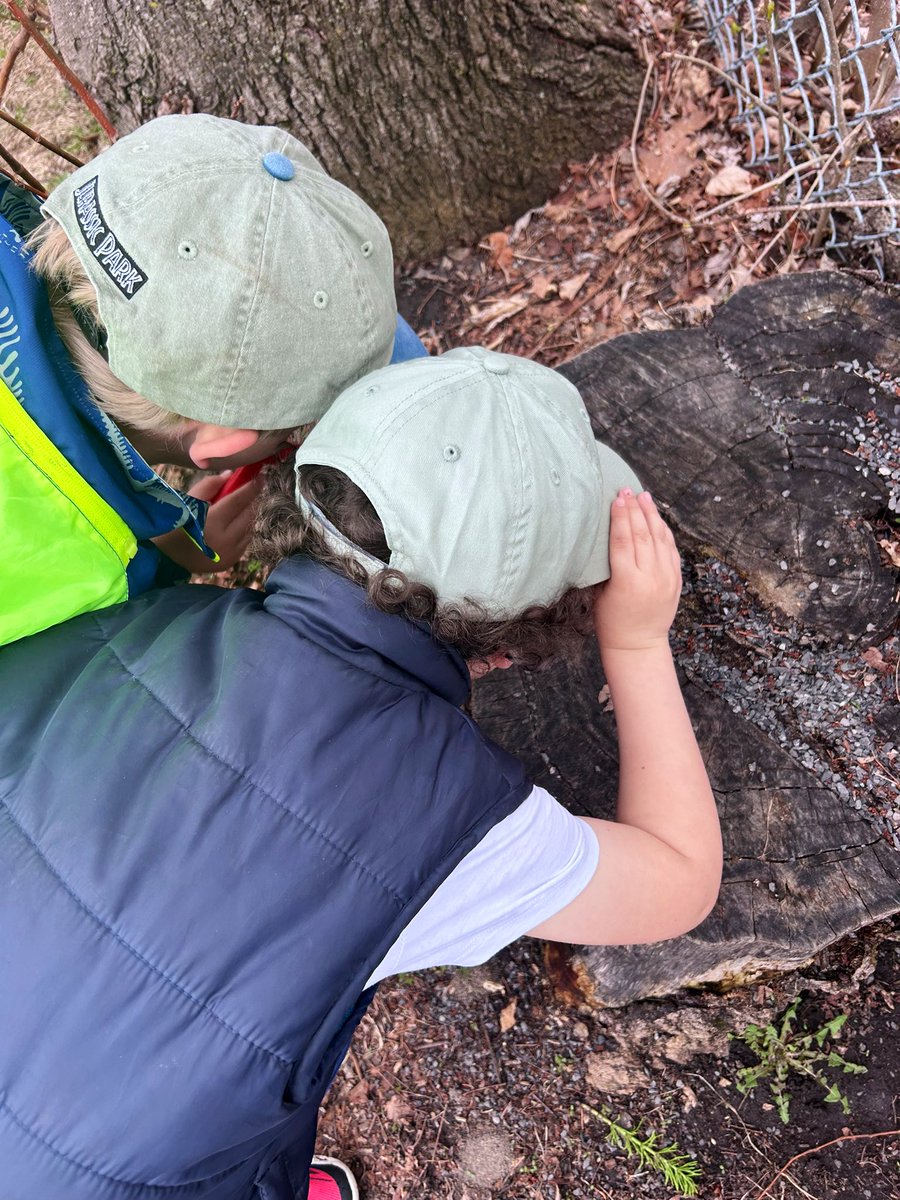 StMonicaOCSB's tweet photo. Our littlest Bulldogs explore, wonder, and learn in the great outdoors - where every leaf, rock, and puddle sparks curiosity. By connecting with nature, we grow in gratitude and learn to care for God’s beautiful creation. #MONmoments #ocsbOutdoors #ocsbPlays https://t.co/oDbg6jyXQM