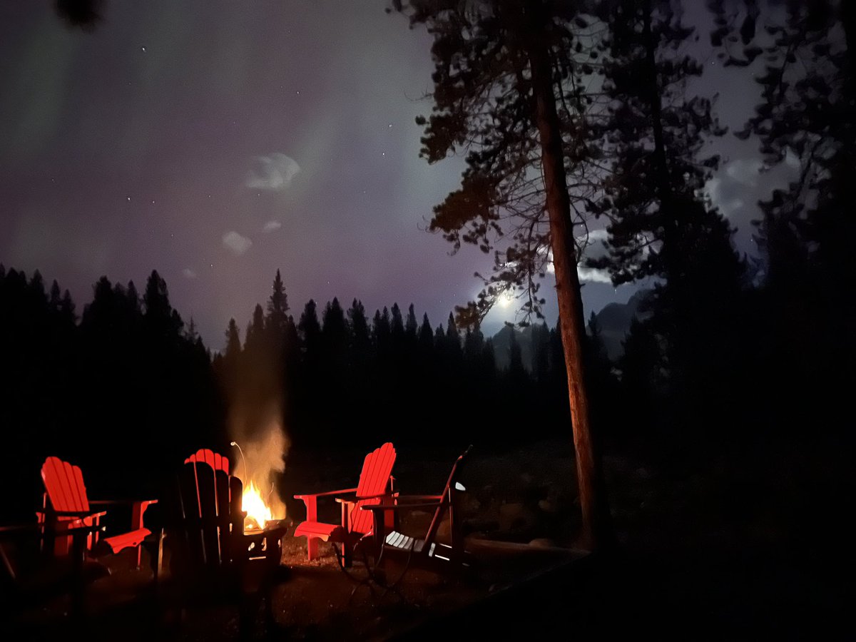 Mark Harding tweet media