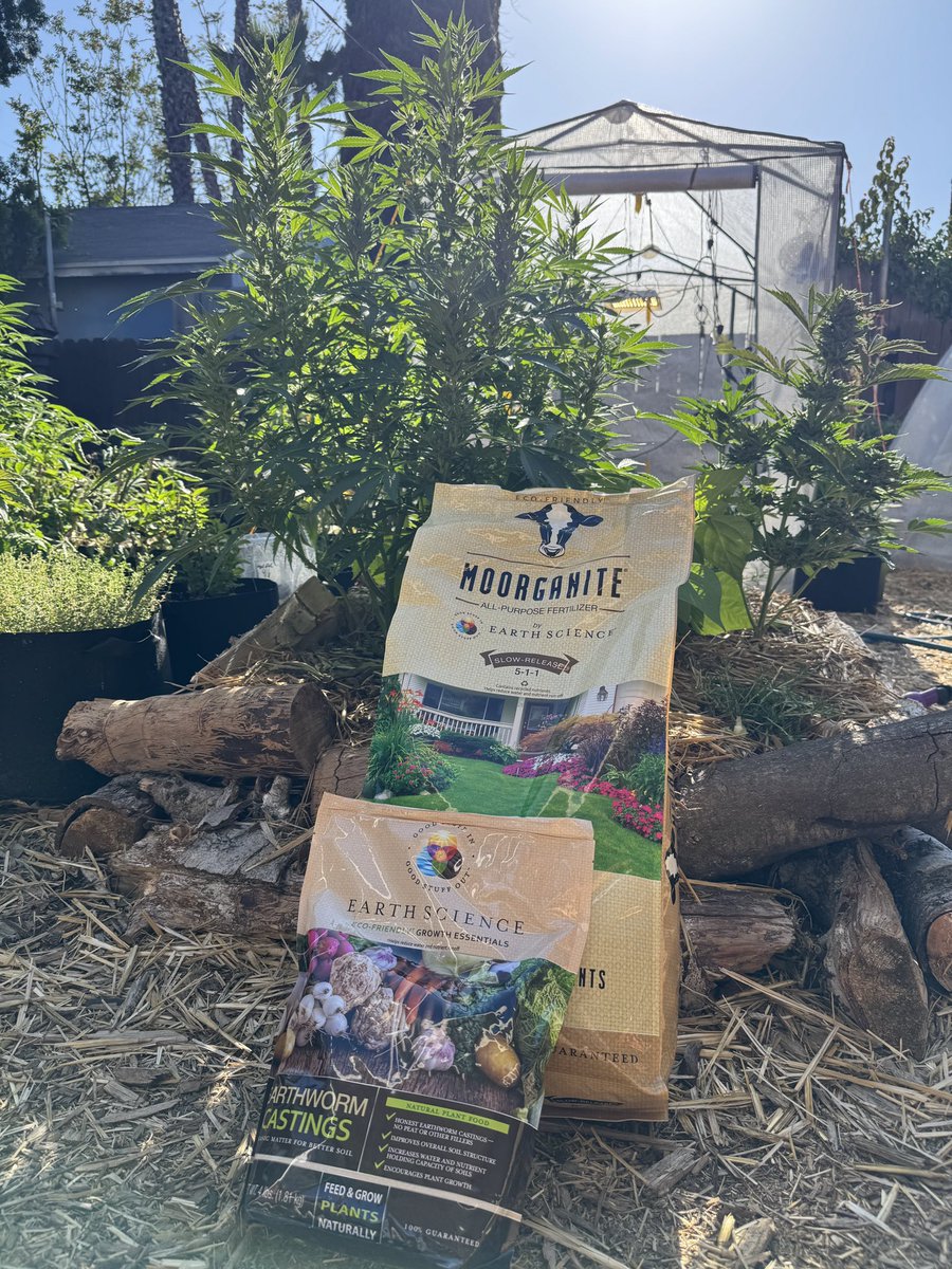 Earth Science sent me some fertilizer to try out in the garden. I just applied some castings to some hungry plants