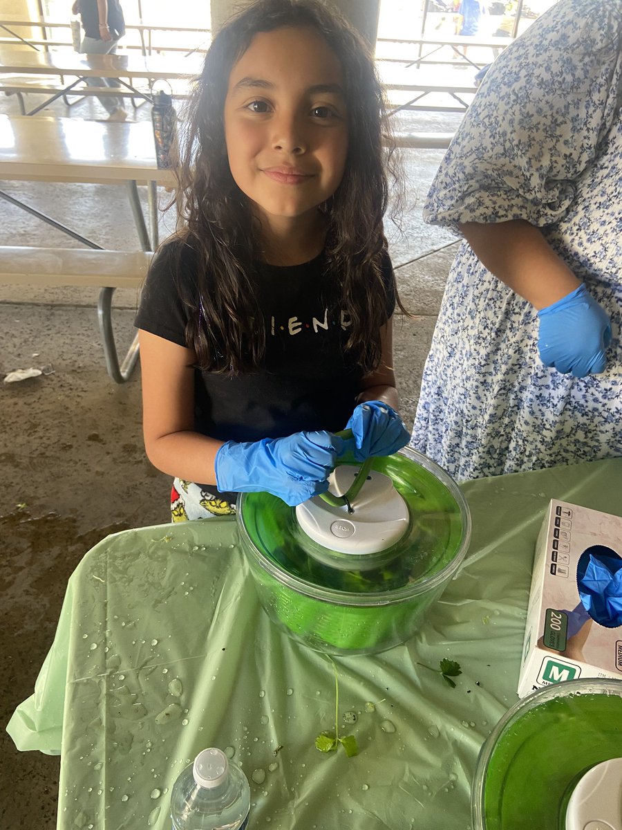 Hydroponics <a href="/MoorparkUnified/">Moorpark Unified</a> with Flory Academy and Campus Canyon Students <a href="/VenturaCOE/">Ventura Co Ofc of Ed</a> <a href="/NathanInouye/">Nathan Inouye</a> 🪴🌱🫛