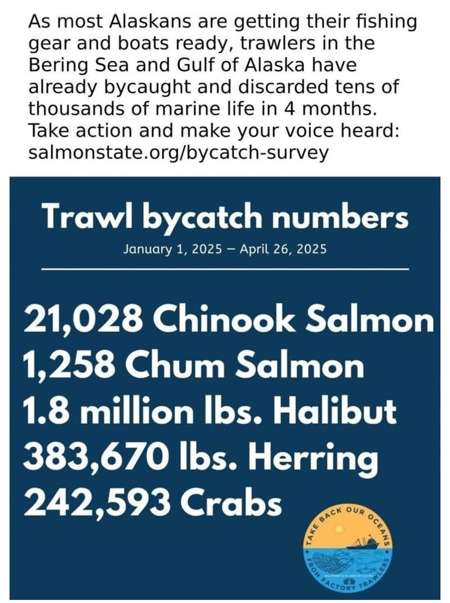 Trawler Bycatch Tracker 🦀 (@trawler_bycatch) on Twitter photo So much wasted Alaska resources by NOAA fisheries and trawlers.
<a href="/lisamurkowski/">Sen. Lisa Murkowski</a> <a href="/NickforAlaska/">Nick Begich</a> <a href="/SenDanSullivan/">Sen. Dan Sullivan</a> do nothing So much wasted Alaska resources by NOAA fisheries and trawlers.
<a href="/lisamurkowski/">Sen. Lisa Murkowski</a> <a href="/NickforAlaska/">Nick Begich</a> <a href="/SenDanSullivan/">Sen. Dan Sullivan</a> do nothing