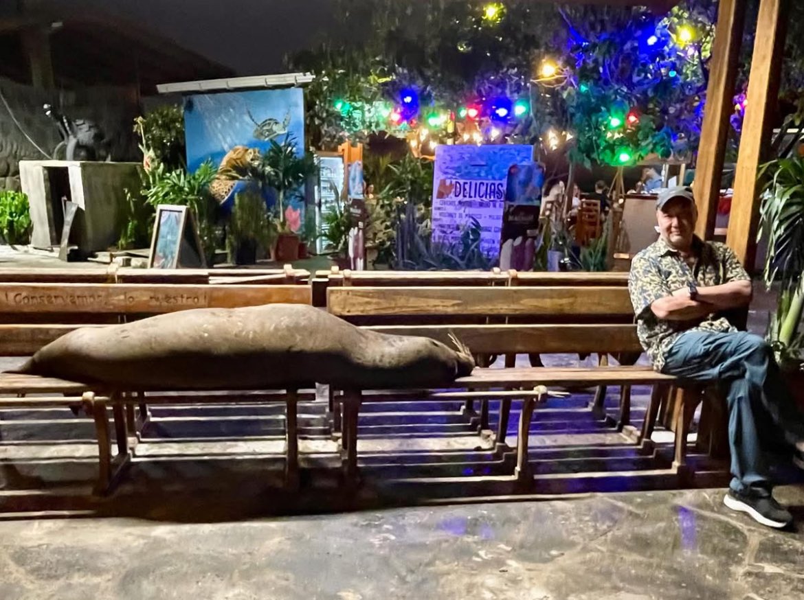 JonKimuraParker (@jonkimuraparker) on Twitter photo When a sea lion takes your favorite spot… (Currently in San Cristobal Island, Galapagos) When a sea lion takes your favorite spot… (Currently in San Cristobal Island, Galapagos)