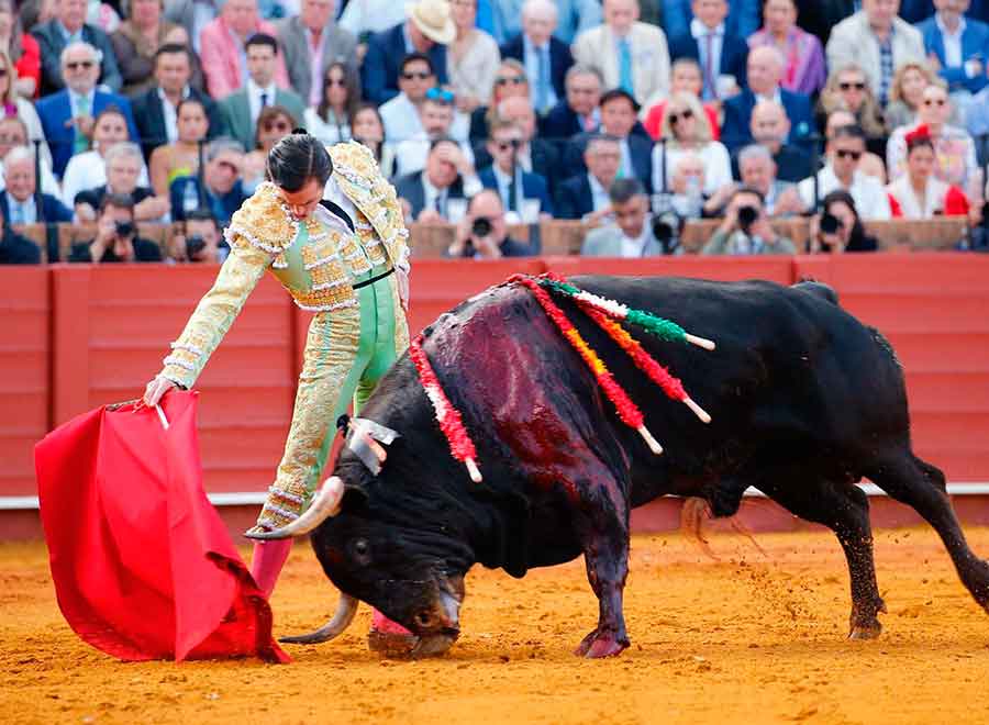 SEVILLA TAURINA (@sevillataurina) on Twitter photo CRÓNICA ST.- Roca Rey, suma y sigue / OPINIÓN ST.- "Excesos feriales" (sevillataurina.com/2025/05/07/386…) <a href="/sevillataurina/">SEVILLA TAURINA</a> <a href="/ManoloVieraN/">Manolo Viera</a> <a href="/Toromedia12/">Toromedia</a> <a href="/isanchezmejias/">Ignacio Sánchez-Mejías</a> <a href="/maestranzapages/">La Maestranza-Pagés</a> <a href="/UTAMAESTRANZA/">Unión Taurina de Abonados y Aficionados de Sevilla</a> <a href="/InfoMAPerera/">Miguel Ángel Perera</a> <a href="/juanortegapr/">Juan Ortega</a> <a href="/RocaRey/">Andrés Roca Rey</a> <a href="/PTTJuanOrtega/">Peña Taurina Trianera Juan Ortega</a> <a href="/Andresistas_R_R/">Andresistas Roca Rey</a> CRÓNICA ST.- Roca Rey, suma y sigue / OPINIÓN ST.- "Excesos feriales" (sevillataurina.com/2025/05/07/386…) <a href="/sevillataurina/">SEVILLA TAURINA</a> <a href="/ManoloVieraN/">Manolo Viera</a> <a href="/Toromedia12/">Toromedia</a> <a href="/isanchezmejias/">Ignacio Sánchez-Mejías</a> <a href="/maestranzapages/">La Maestranza-Pagés</a> <a href="/UTAMAESTRANZA/">Unión Taurina de Abonados y Aficionados de Sevilla</a> <a href="/InfoMAPerera/">Miguel Ángel Perera</a> <a href="/juanortegapr/">Juan Ortega</a> <a href="/RocaRey/">Andrés Roca Rey</a> <a href="/PTTJuanOrtega/">Peña Taurina Trianera Juan Ortega</a> <a href="/Andresistas_R_R/">Andresistas Roca Rey</a>