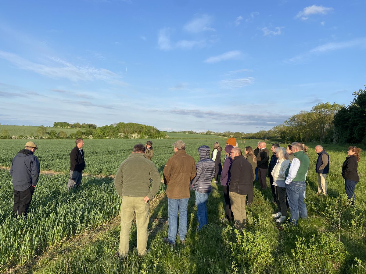 Joe Stanley tweet media