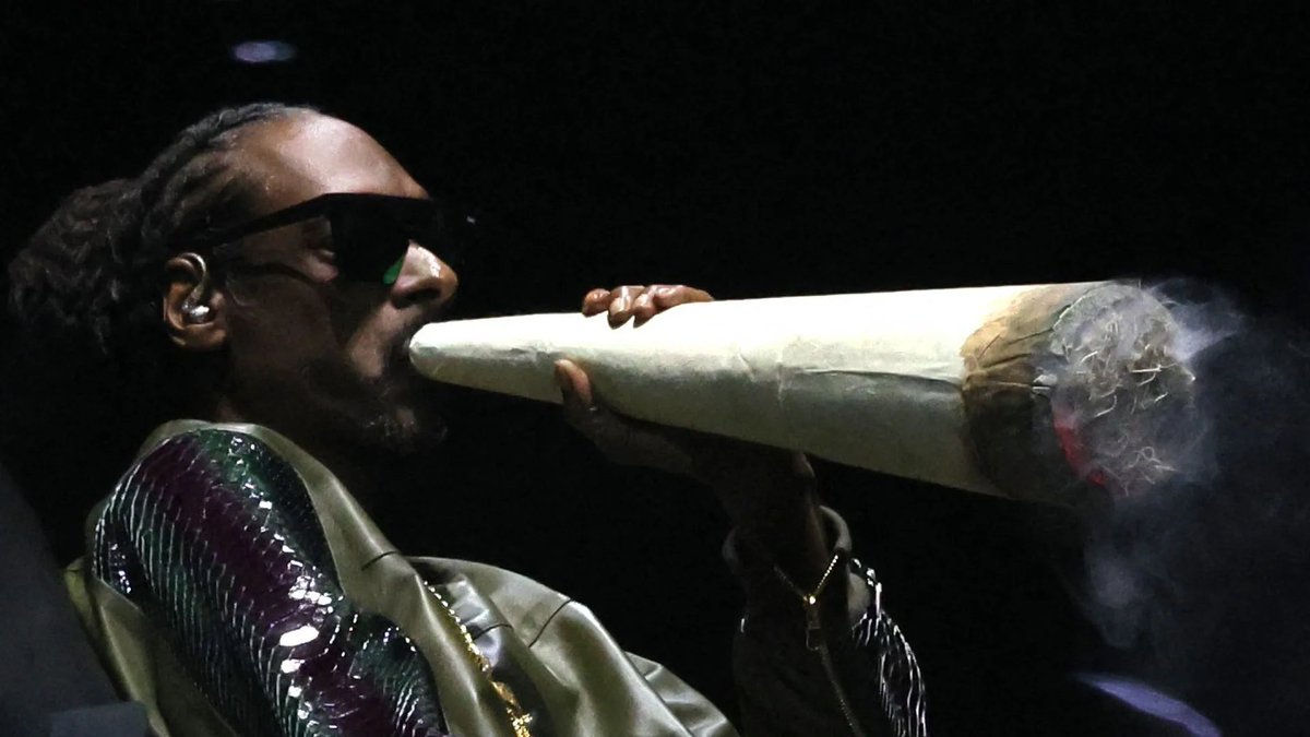 ParecedelMundoToday tweet media