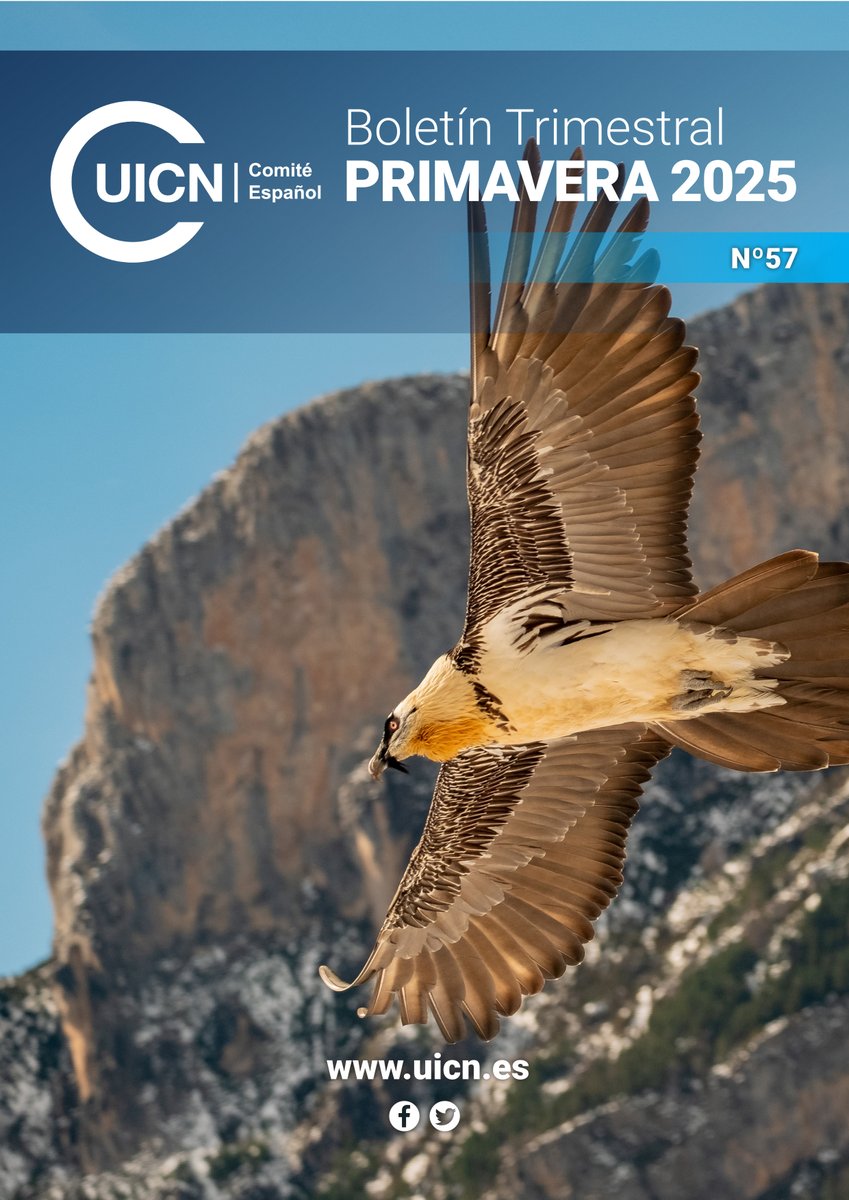 🌿 ¡Ya puedes leer el Boletín CEUICN de Primavera 2025!
👉 Hongos en peligro
🦅 Nuevas estrategias para especies amenazadas
🌍 Rutas de trashumancia, bioeconomía, geodiversidad y mucho más.
📥 uicn.es/content/upload…