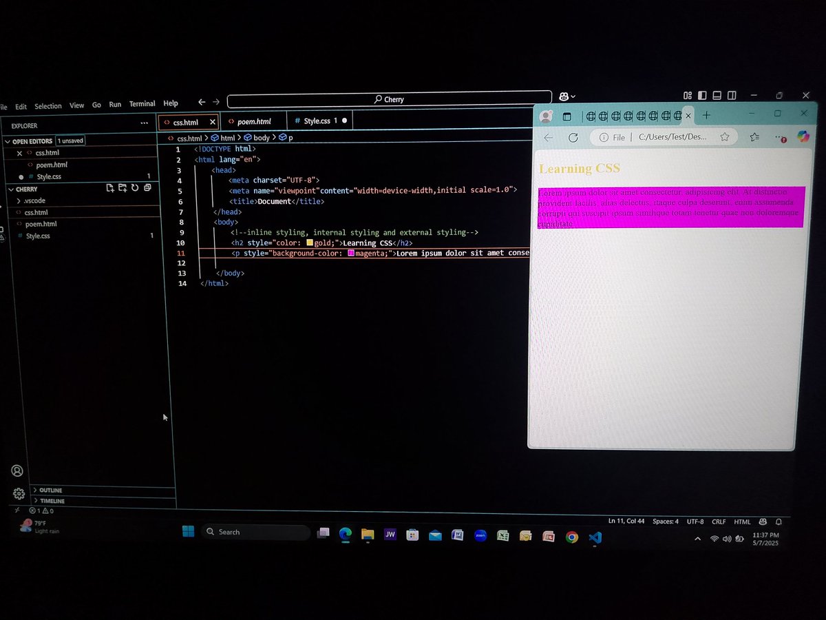 cherry_ihuoma's tweet image. First day in CSS class and I already see the magic behind the style!
From plain to polished—can’t wait to master the art of making websites look as good as they work.
#FirstDay #CSSBeginner #WebDesignJourney #DevInProgress