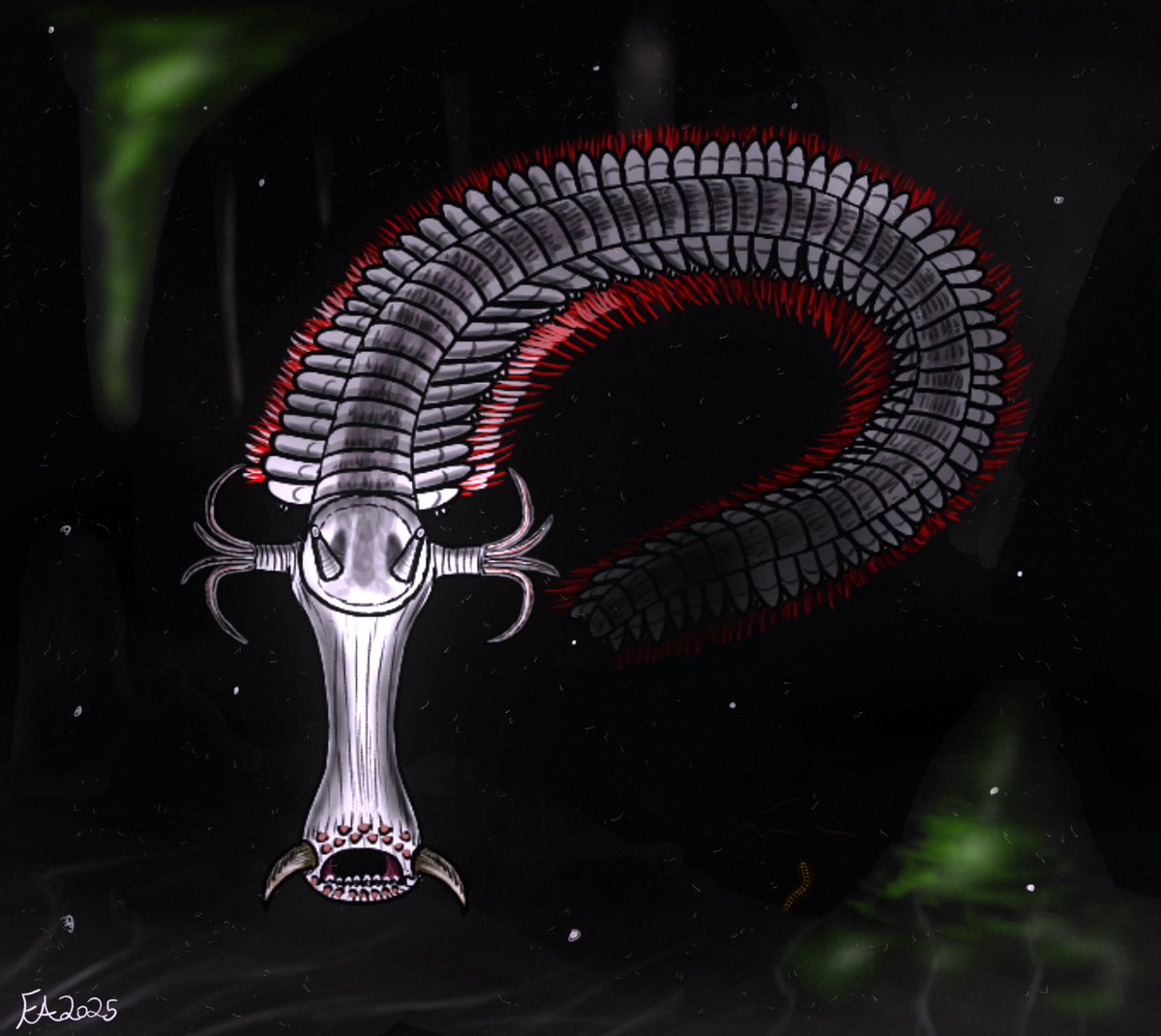 Been a while since I’ve done some spec evo stuff. This is is the Slickribbon, a cave dwelling polychaete from the series ‘The Future is Wild’
#speculativeevolution 
#polychaete
#artwork