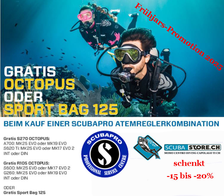 Scubastore ch MOMO DIVE CLUB (@momo_centro) on Twitter photo 