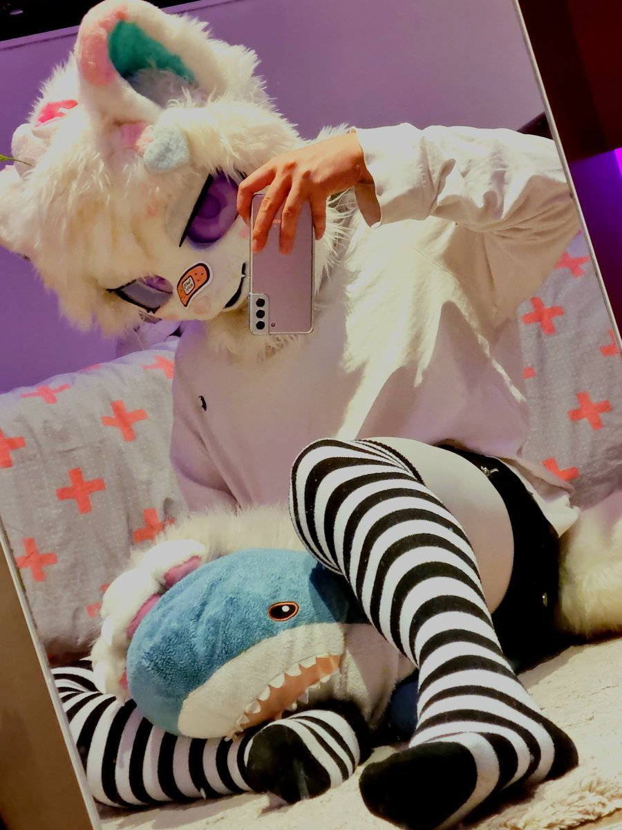 yukkoSn's tweet image. U wish this shark was you nerd~ 🌊🦈