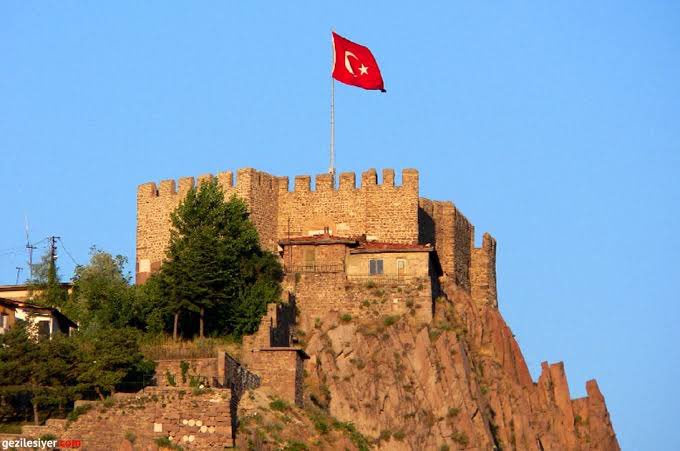 Köpek yattığı gölgenin kimin olduğunu bilmeli.