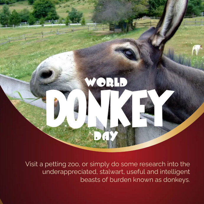 Indian Institute of Sustainability (@iisofficialpage) on Twitter photo “There is no better way to celebrate 2025 world donkey day than to announce the collaboration between <a href="/iisofficialpage/">Indian Institute of Sustainability</a> and <a href="/DonkeySanctuary/">The Donkey Sanctuary</a> aiming to support donkeys in India”. World Donkey Day was founded by Dr. Abdul Raziq Kakar in 2010. “There is no better way to celebrate 2025 world donkey day than to announce the collaboration between <a href="/iisofficialpage/">Indian Institute of Sustainability</a> and <a href="/DonkeySanctuary/">The Donkey Sanctuary</a> aiming to support donkeys in India”. World Donkey Day was founded by Dr. Abdul Raziq Kakar in 2010.