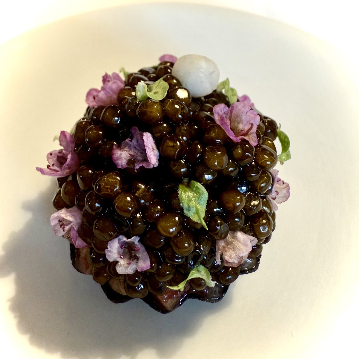 matthan's tweet image. In Copenhagen food is art.