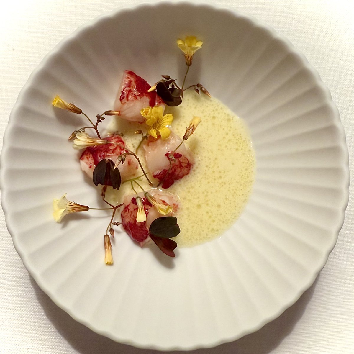 matthan's tweet image. In Copenhagen food is art.