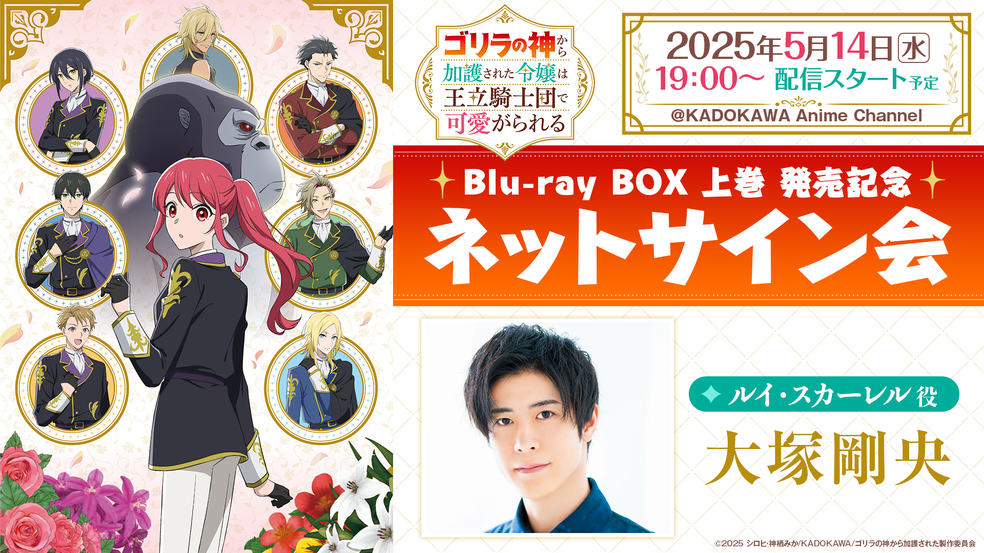 TVアニメ『ゴリラの神から加護された令嬢は王立騎士団で可愛が