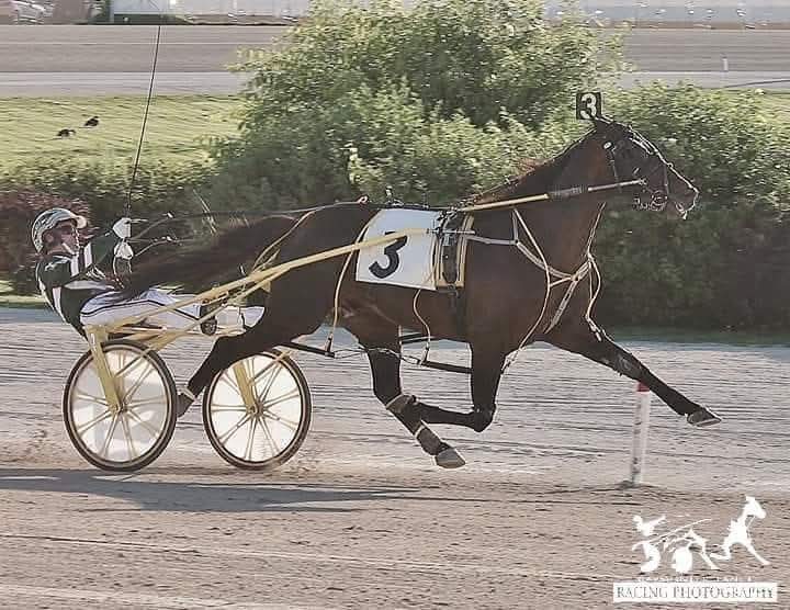 Happy Birthday to Foiled Again who was born 21 years ago today in Englishtown New Jersey.