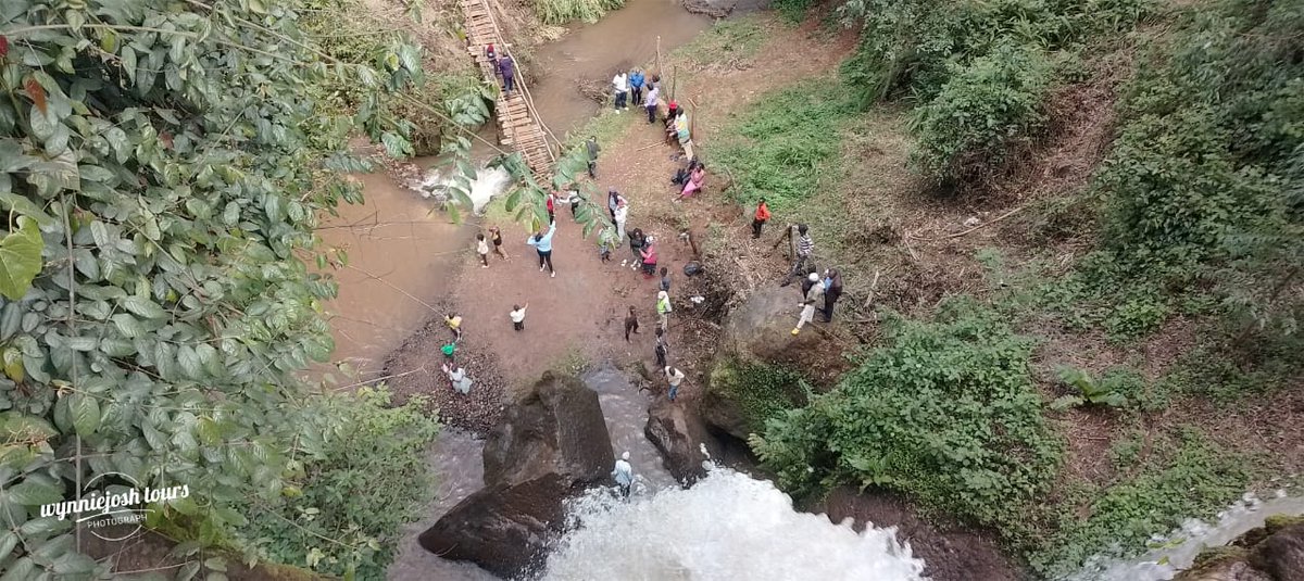 thedustyfellow's tweet image. ✅ Waterfalls? YES.
✅ MauMau Cave? INTRIGUING...
✅ 13KM? DID SOME SAY EASY?
✅ Hilarious company (maybe you)? GUARANTEED.
DITCH YOUR PLANS, HIKE WITH US THIS WEEKEND!