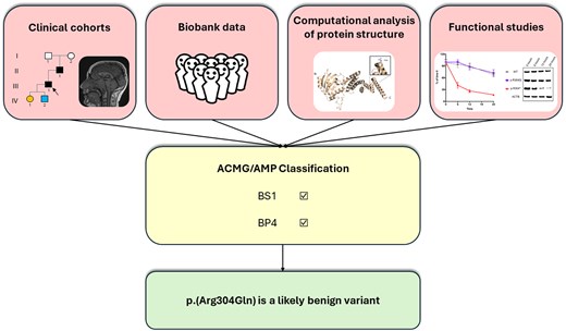 Euro J Endocrinology (@ejendo) on Twitter photo Reassessing the role of the p.(Arg304Gln) missense AIP variant in pituitary tumorigenesis
Authors
Paul Benjamin Loughrey <a href="/KorbonitsL/">Korbonits Lab</a> et al
EJE Volume 192, Issue 4, April 2025
Open access paper 👉 doi.org/10.1093/ejendo…
#endocrinology #gigantism #acromegaly #prolactinoma Reassessing the role of the p.(Arg304Gln) missense AIP variant in pituitary tumorigenesis
Authors
Paul Benjamin Loughrey <a href="/KorbonitsL/">Korbonits Lab</a> et al
EJE Volume 192, Issue 4, April 2025
Open access paper 👉 doi.org/10.1093/ejendo…
#endocrinology #gigantism #acromegaly #prolactinoma
