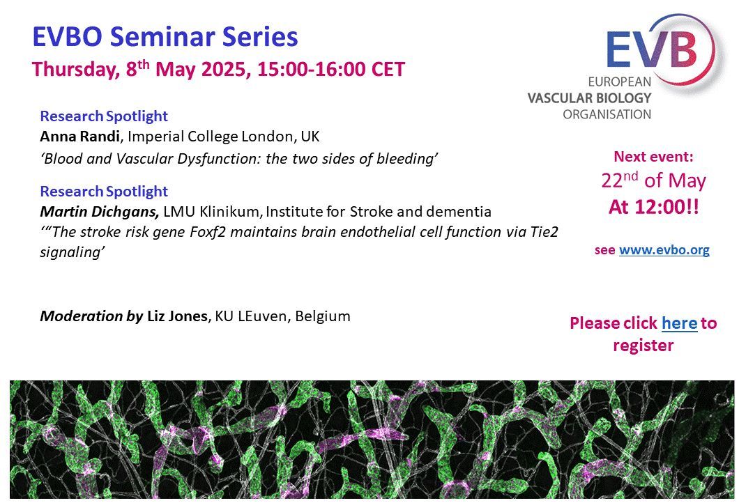 EVBO (@evb_org) on Twitter photo HAPPENING TODAY!! #EVBOSeminarSeries Moderated by <a href="/JonesLab_KUL/">Elizabeth Jones</a>. Speakers:
<a href="/LabAnna/">Anna Randi Lab</a> and Martin Dichgans. ⏰When: Thursday, 7th May 2025, EU time (2PM UK). Place: online. See you there! For registration evbo.org HAPPENING TODAY!! #EVBOSeminarSeries Moderated by <a href="/JonesLab_KUL/">Elizabeth Jones</a>. Speakers:
<a href="/LabAnna/">Anna Randi Lab</a> and Martin Dichgans. ⏰When: Thursday, 7th May 2025, EU time (2PM UK). Place: online. See you there! For registration evbo.org